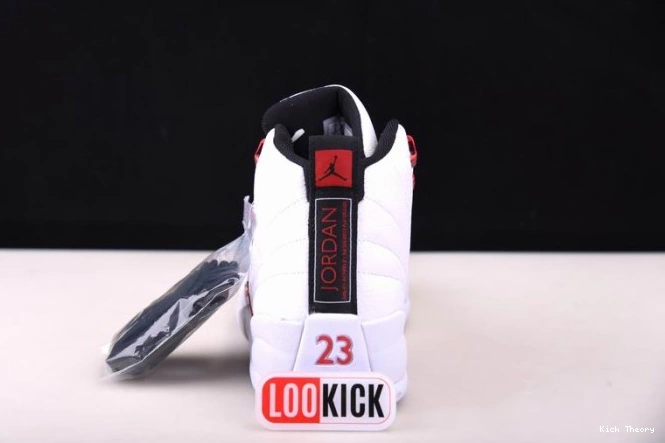 Kicktheory 12 Jordan CT8013-106 Air Twist 0817